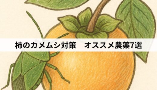 柿のカメムシ対策　オススメ農薬7選