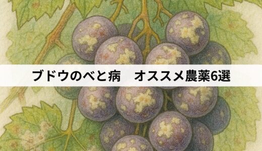 ブドウのべと病　オススメ農薬6選