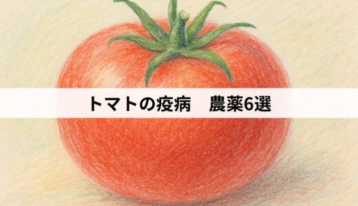 トマトの疫病　農薬6選