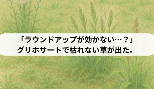 「ラウンドアップが効かない…？」グリホサートで枯れない草が出た。