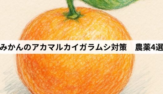 みかんのアカマルカイガラムシ対策　農薬4選