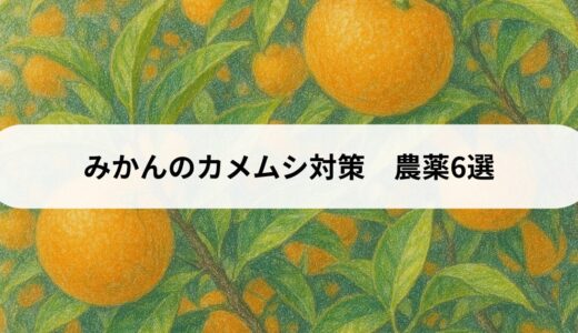 みかんのカメムシ対策　農薬6選